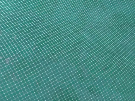 企业微信截图_17827997765898