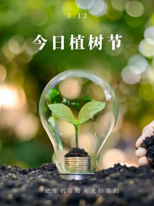 د ونو ورځ - RUIFIBER