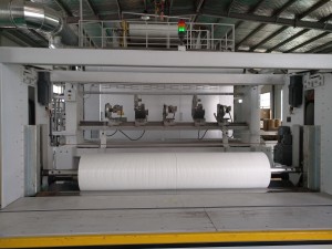 Ruifiber အစုလိုက်အပြုံလိုက် ထုတ်လုပ်မှု ၂