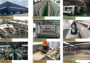 Shanghai Ruifiber workshops